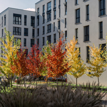 ЖК Квадрат p 36 9